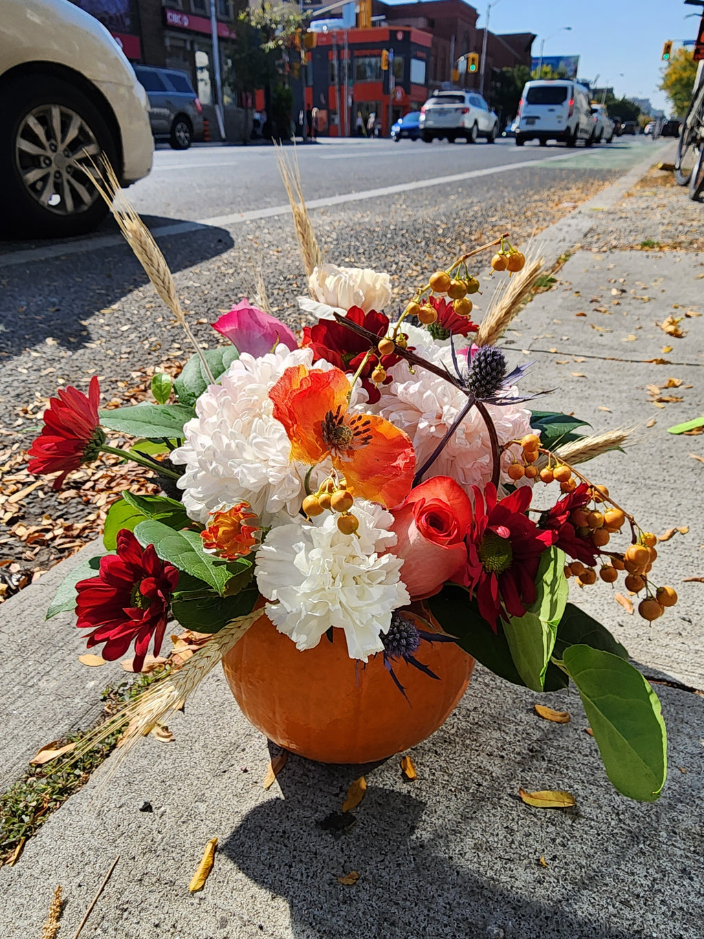 FC1 Pumpkin Patch (**Real Pumpkin**) Bloor Village Flowers