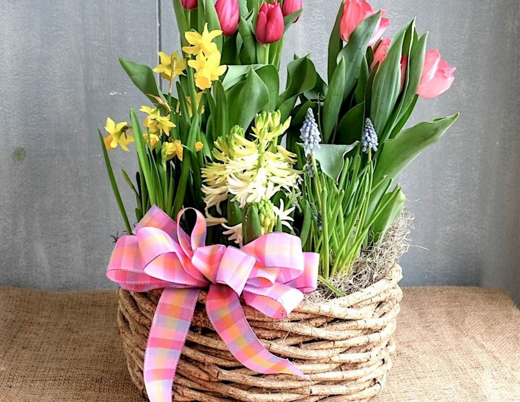 PG2 Macy Bloor Village Flowers