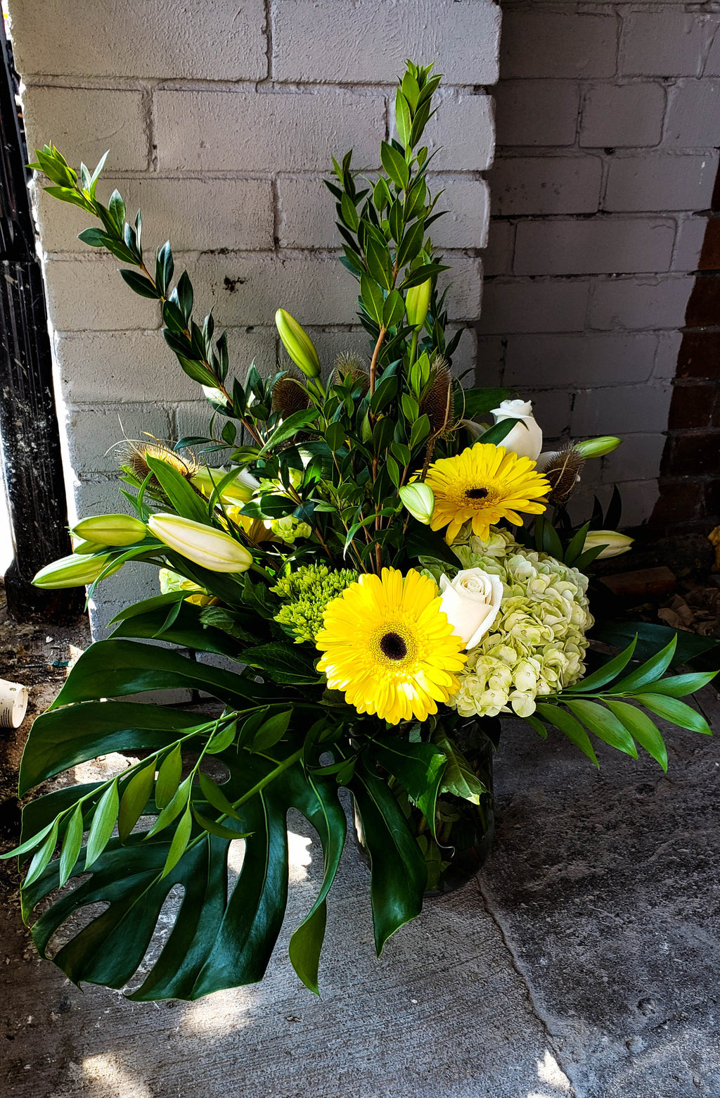 H2 Capri Bloor Village Flowers