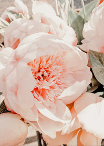 Floral Arrangements