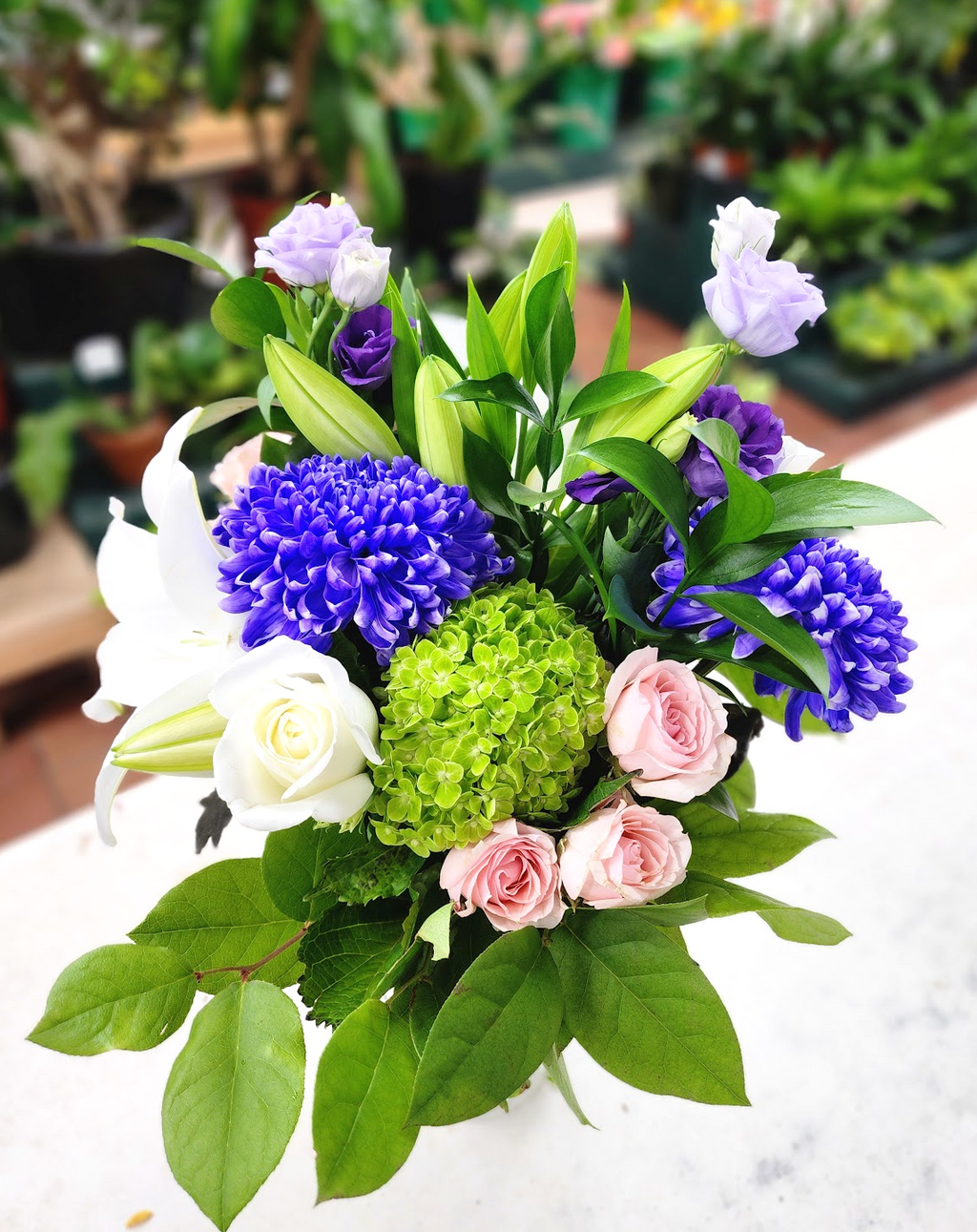 SSC15: Octavia – Bloor Village Flowers