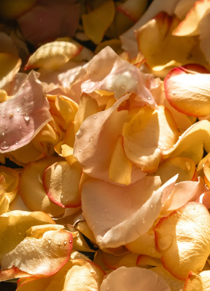 V18: ZEN (MIXED ROSE PETALS)