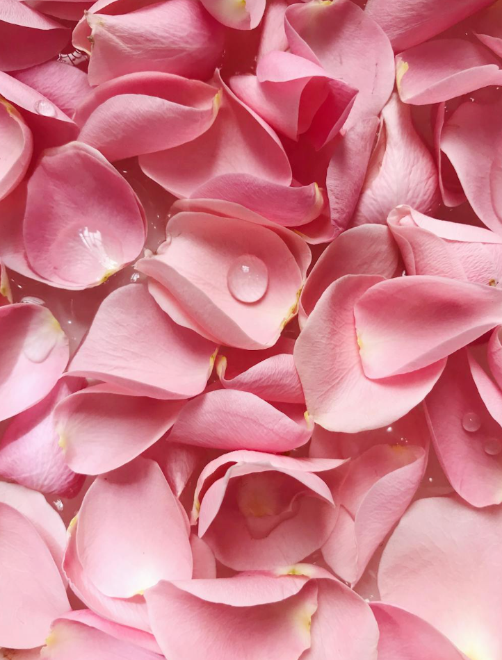 V18: ZEN (MIXED ROSE PETALS)