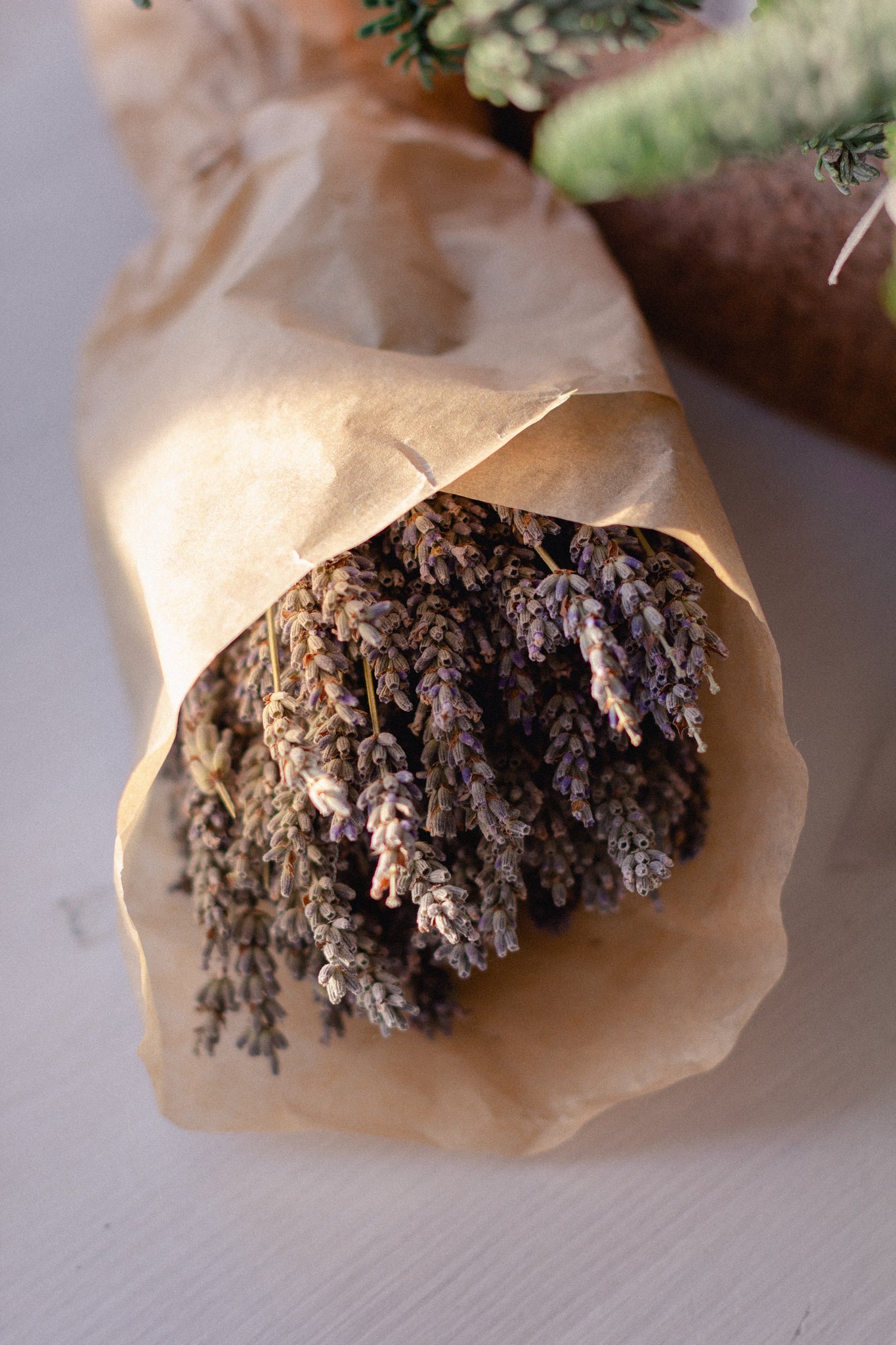 D3: Dried Lavender