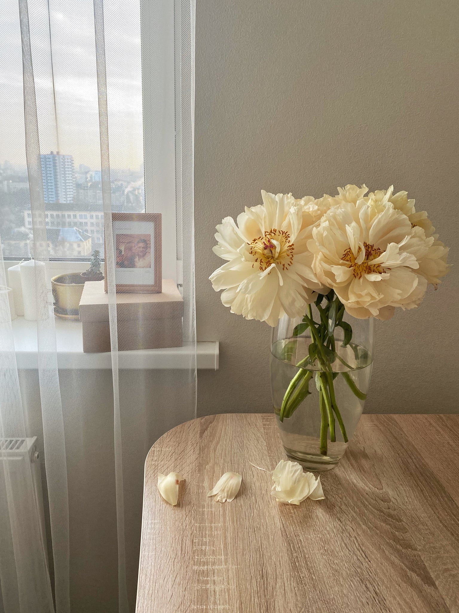 Designer Choice (Vases)